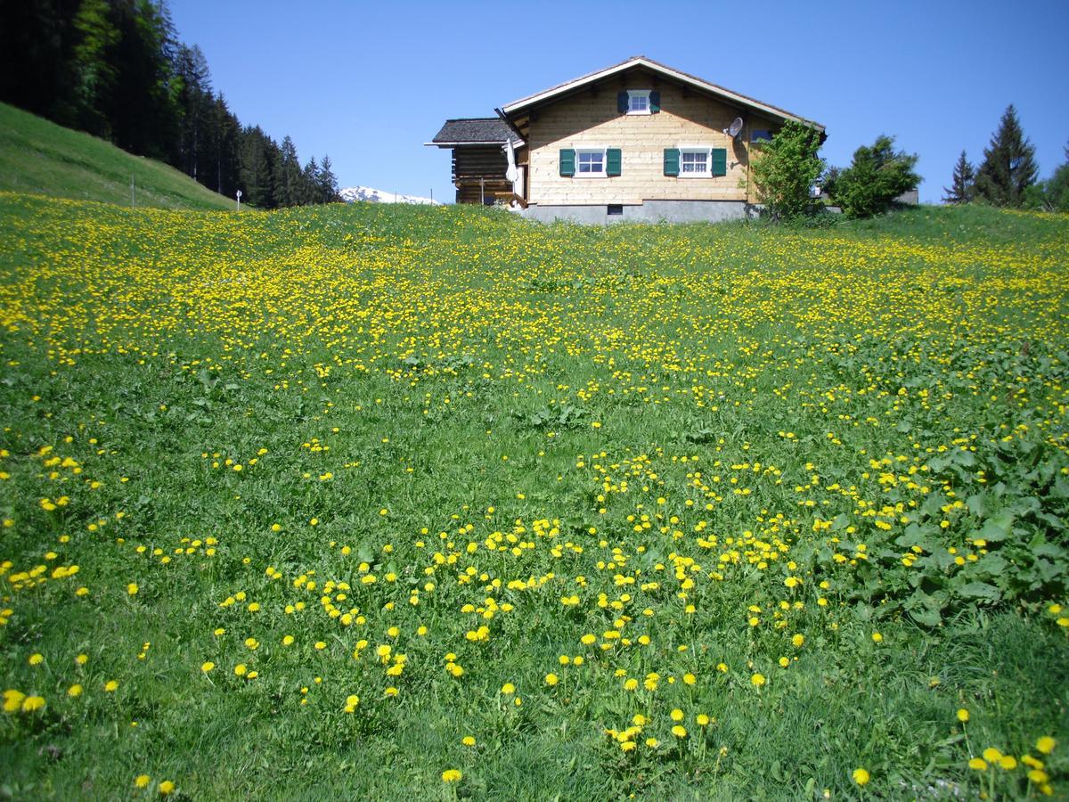 Maisaess Lifinarblick Villa Schruns Екстериор снимка