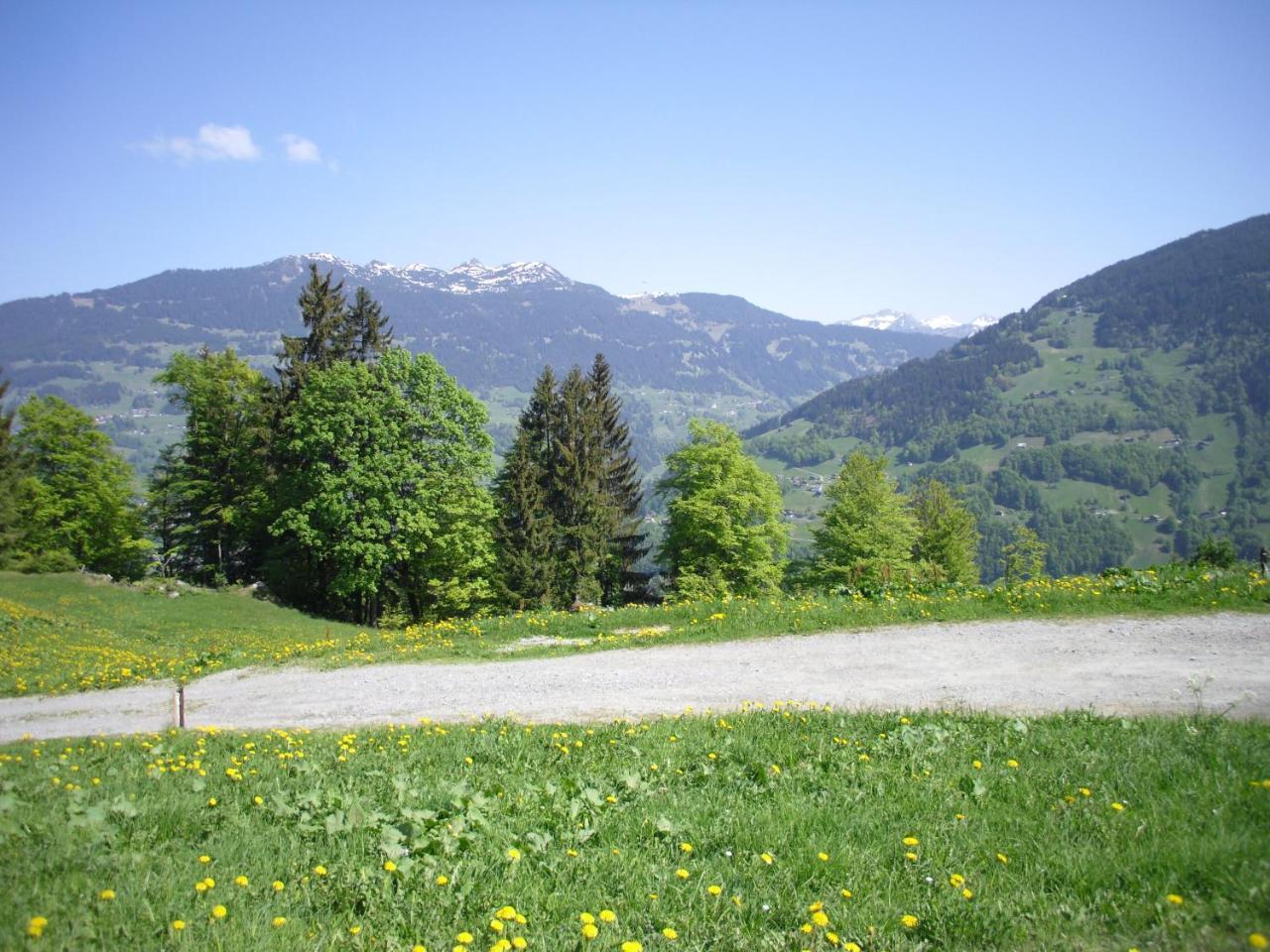 Maisaess Lifinarblick Villa Schruns Екстериор снимка
